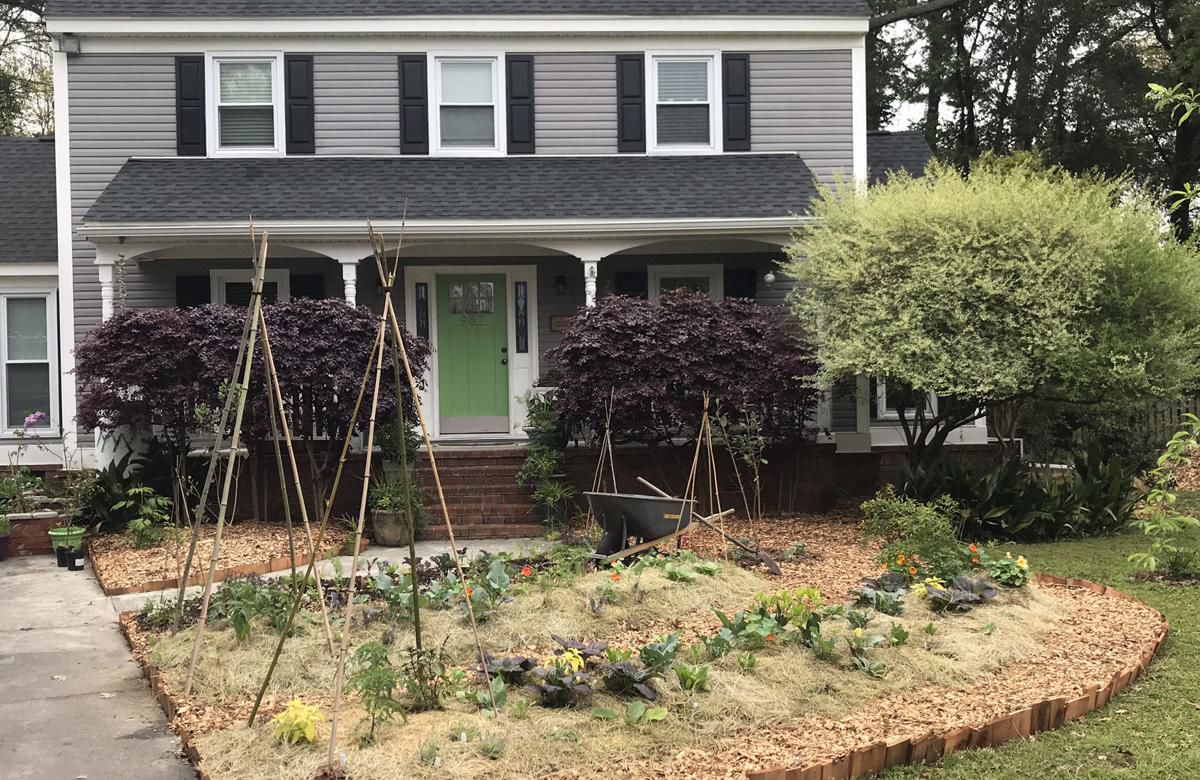 Rain gardens
